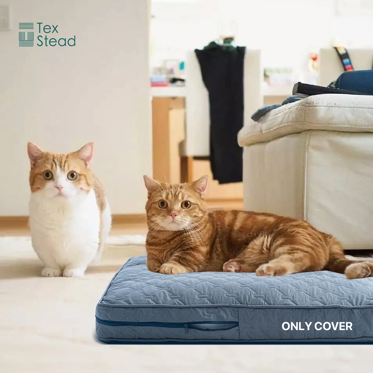 1Pc Orthopedic Dog Beds Cover  - Calming Dog Bed บทวิจารณ์และราคา