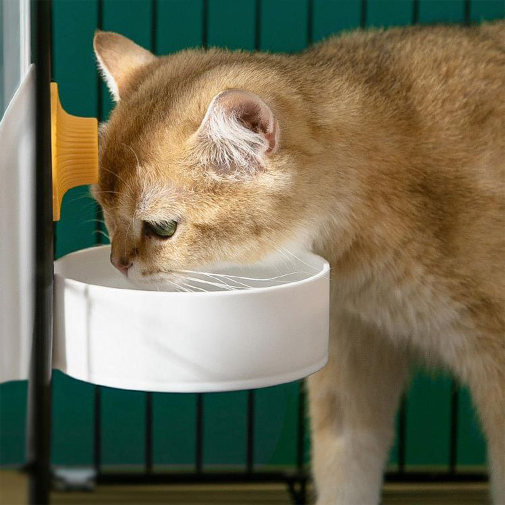 Large Capacity Cat Cage Hangin - Pet Supplies Dog Food บทวิจารณ์และราคา
