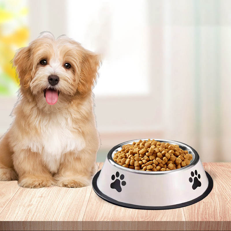 Stainless steel large capacity - Pet Supplies Dog Food บทวิจารณ์และราคา
