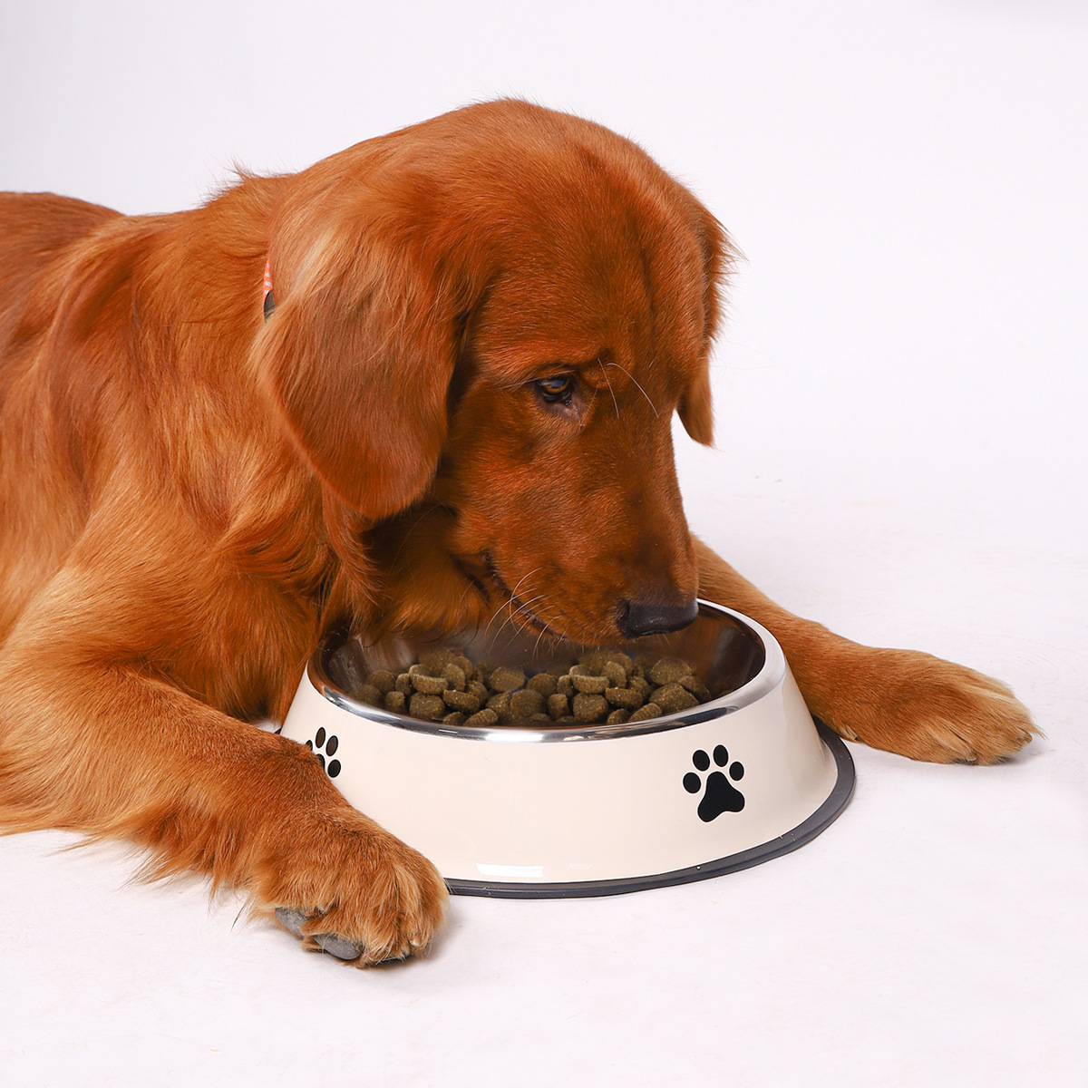 Stainless steel large capacity - Pet Supplies Dog Food บทวิจารณ์และราคา