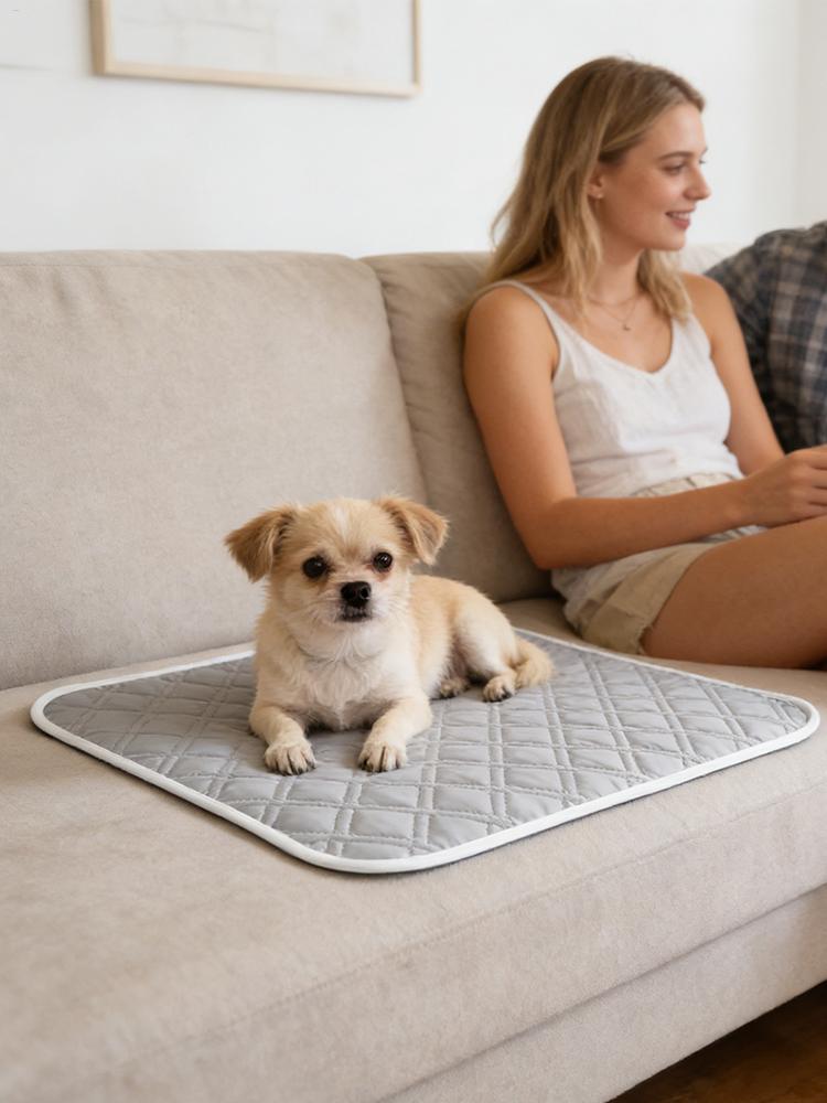 45x35cm Pet Cooling Pad Dog Sw - Calming Dog Bed บทวิจารณ์และราคา