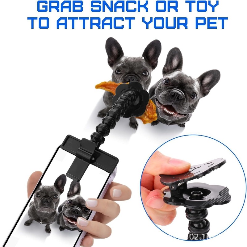 Pet Selfie Stick with Snack Ho - Pet Supplies Dog Food บทวิจารณ์และราคา