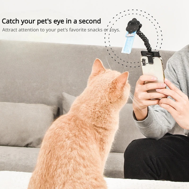 Pet Selfie Stick with Snack Ho - Pet Supplies Dog Food บทวิจารณ์และราคา