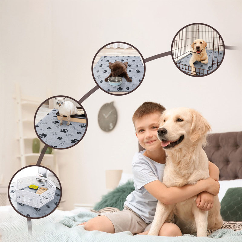Dog Bed Mat All Season Pet Sle - Calming Dog Bed บทวิจารณ์และราคา