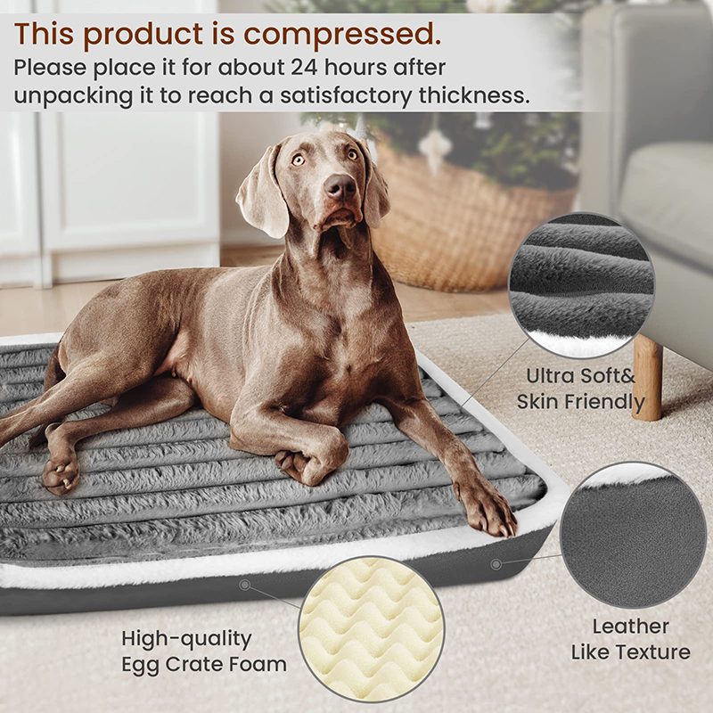 Benepaw Soft Orthopedic Dog Be - Calming Dog Bed บทวิจารณ์และราคา