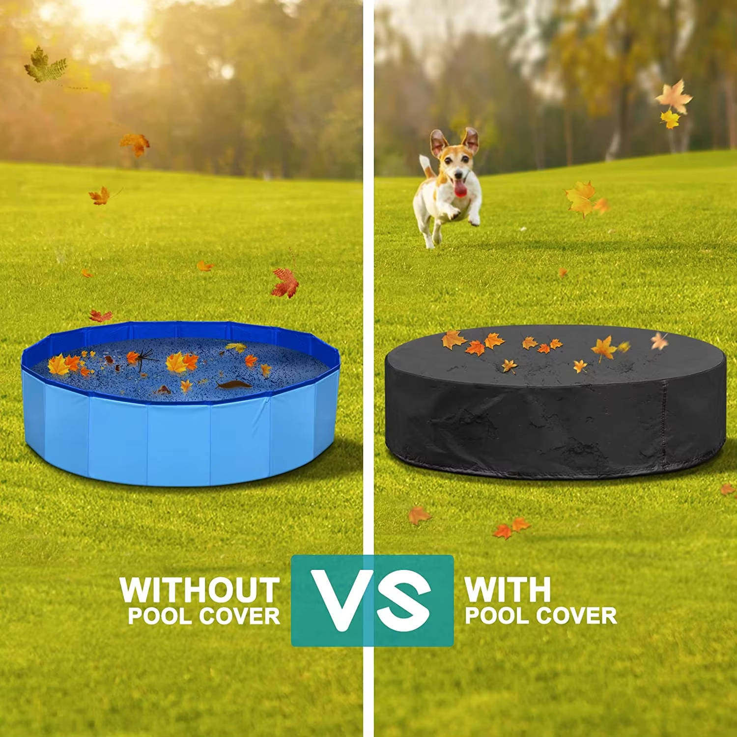 Dog Swimming Pool or Pool Cove - Calming Dog Bed บทวิจารณ์และราคา